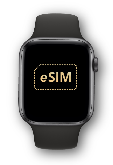 IberPass Universal eSIM iPhone dual SIM